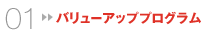 バリューアッププログラム